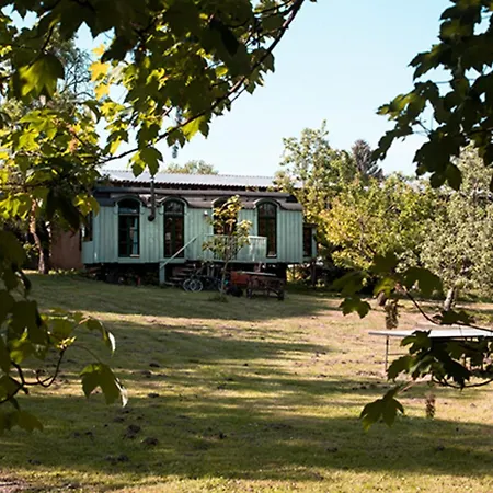 Campsite Zirkuswagen - Roulotte Kirch Mulsow