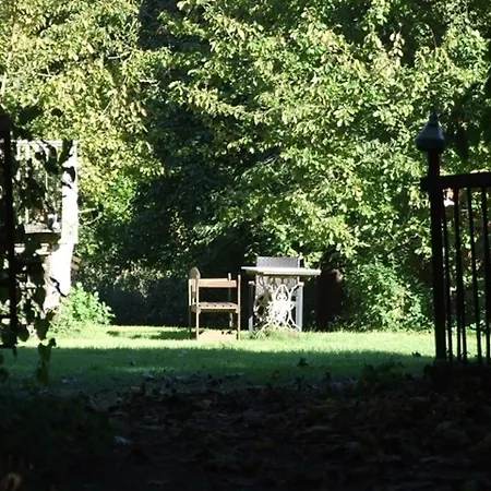 Zirkuswagen - Roulotte Kirch Mulsow